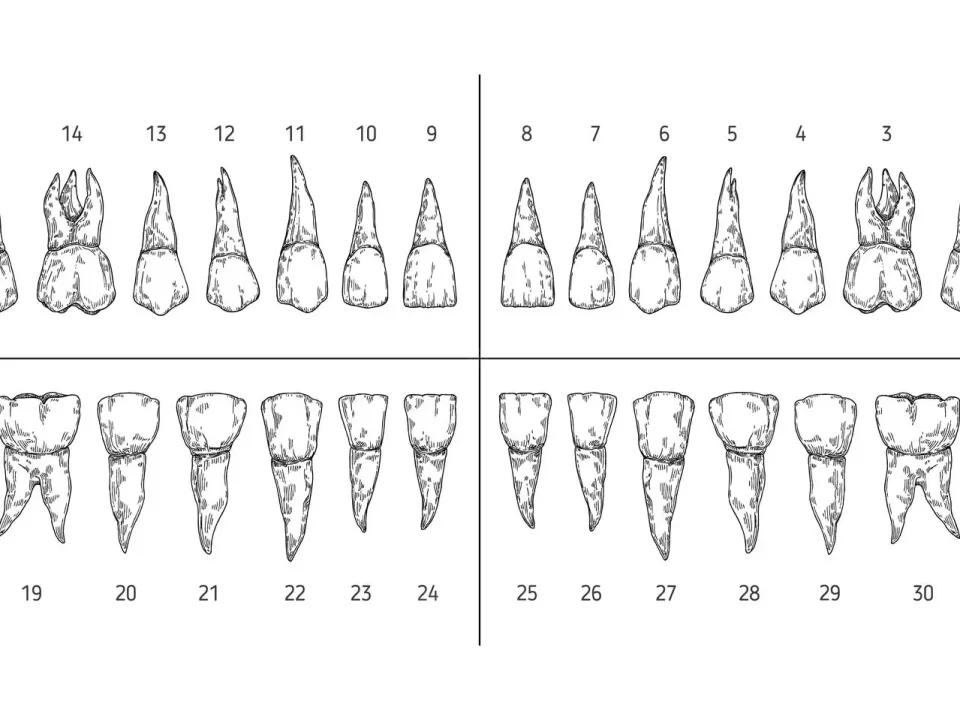 Ambiente interno da Clínica Luminar em Sorocaba